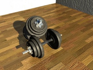 weights Modello 3D