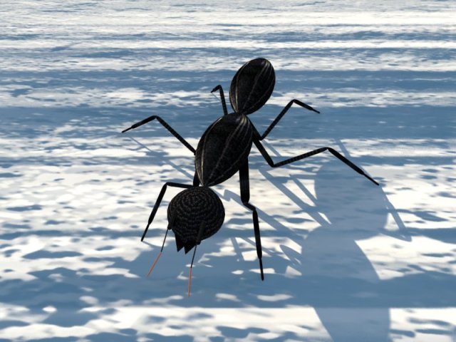 ant formica Model 3D .c4d .max .obj .3ds .fbx .stl .blend 