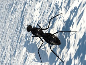 ant formica Model 3D