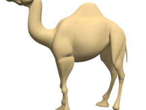 camel Modelo 3D