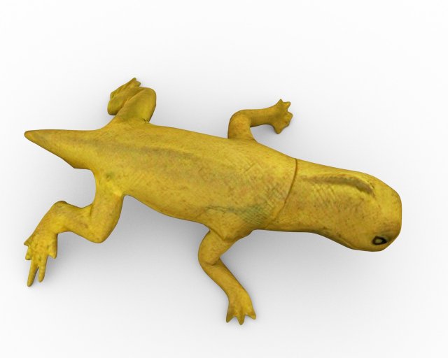 lizzard full rigged 3D Modell .c4d .max .obj .3ds .fbx .stl .blend