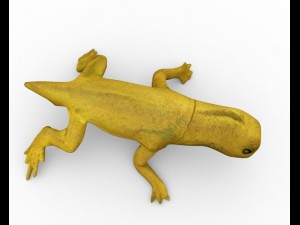 lizzard full rigged Modèle 3D