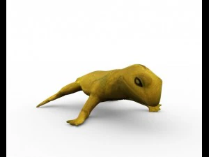 hagedis vol opgetuigd 3D Model