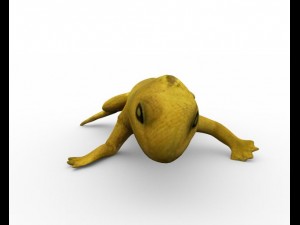 lizzard full rigged 3D Modell