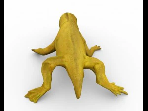 hagedis vol opgetuigd 3D Model