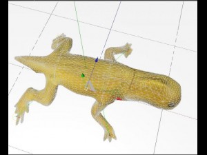 lizzard full rigged 3D Modell