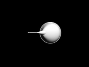 ear phone 3D Model