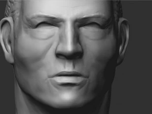 चेहरा मूर्तिकला zbrush ztl 3D मॉडल