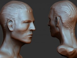 face sculpture zbrush ztl Model 3D