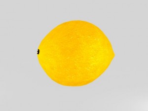 lemon 3D Model