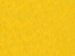 lemon Modèle 3D