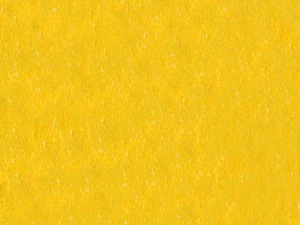 lemon 3D Model