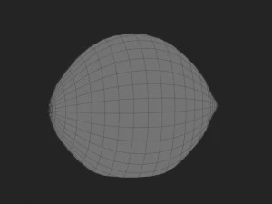 lemon 3D Model