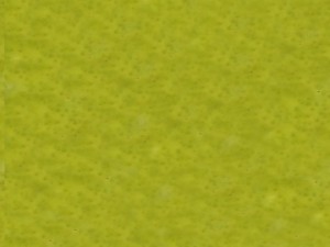 pear 3D Model