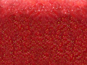strawberry Modelo 3D