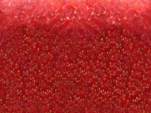 strawberry 3D Model