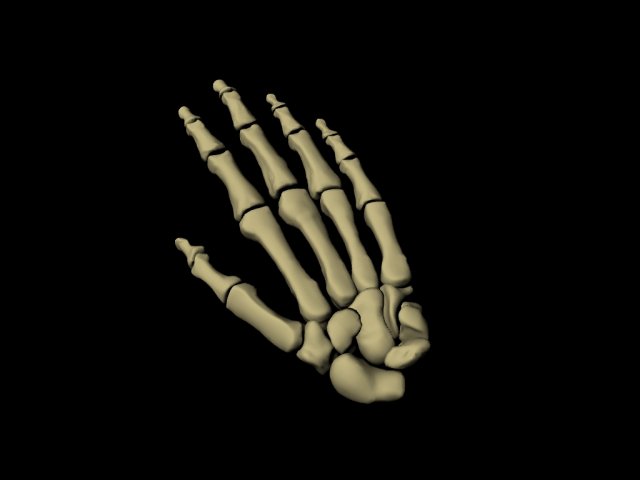 skeletal hand 3D Модель .c4d .max .obj .3ds .fbx .stl .blend 