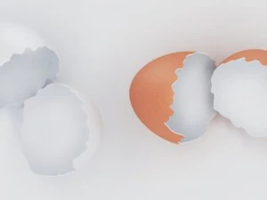 яйца 3D Модель