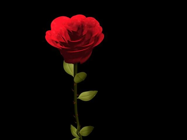 玫瑰 3D 模型 .c4d .max .obj .3ds .fbx .stl .blend