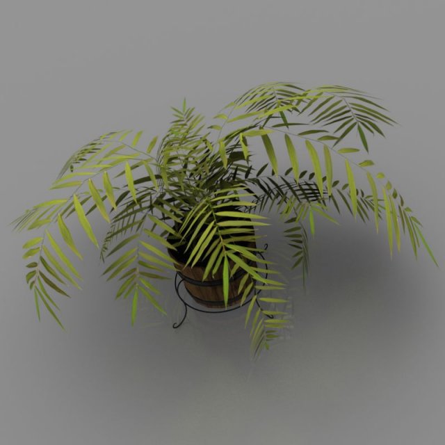 plant 3D Model .c4d .max .obj .3ds .fbx .stl .blend