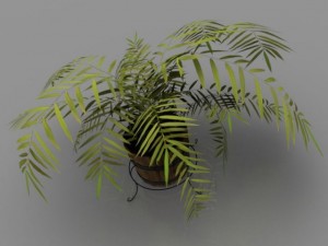 plant Model 3D