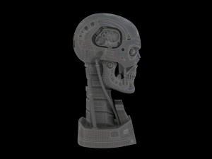 terminator t-800 skull bust 3D 모델