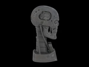 terminator t-800 skull bust 3D Model