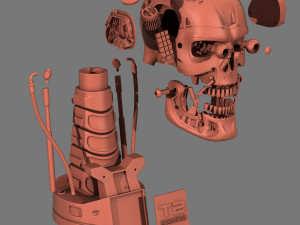 terminator t-800 skull bust v2 Modello di stampa 3D