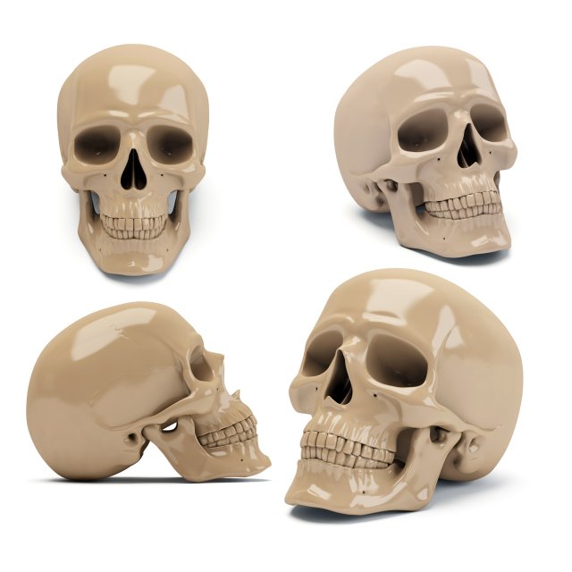 Scull 3d print 3D प्रिंट मॉडल .c4d .max .obj .3ds .fbx .stl .blend 