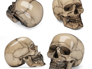 Scull 3d print 3D प्रिंट मॉडल