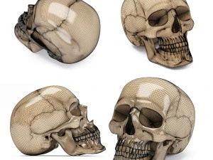 スカル 3D プリント 3Dプリントモデル