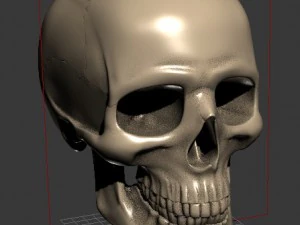 スカル 3D プリント 3Dプリントモデル