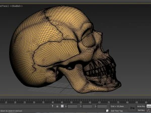 スカル 3D プリント 3Dプリントモデル