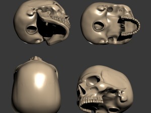 Scull 3d print 3D प्रिंट मॉडल