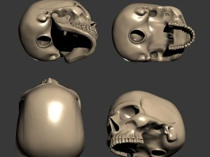 スカル 3D プリント 3Dプリントモデル