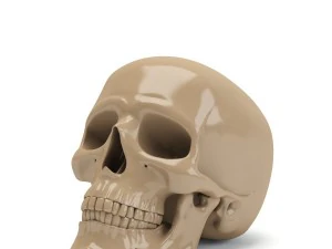 スカル 3D プリント 3Dプリントモデル