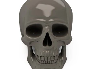 スカル 3D プリント 3Dプリントモデル