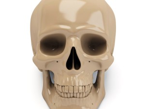 Scull 3d print 3D प्रिंट मॉडल