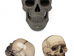 Scull 3d print 3D प्रिंट मॉडल