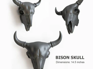 bison skull 3D Print Model