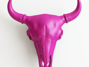 bison skull 3D 打印模型