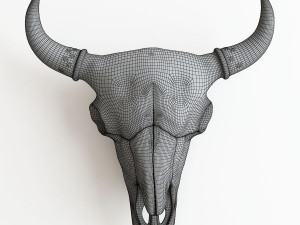 bison skull 3D 打印模型