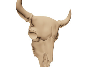 bison skull 3D 打印模型