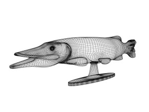 giulia mangani fish 6072 Model 3D