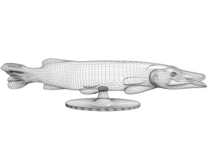giulia mangani fish 6072 Model 3D