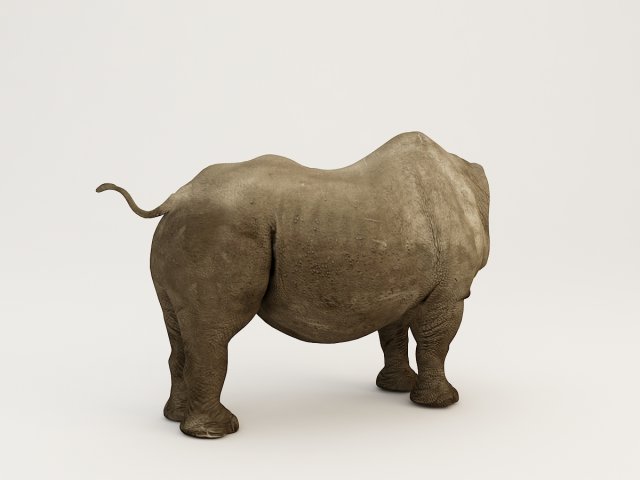 rhino body Modello 3D .c4d .max .obj .3ds .fbx .stl .blend 