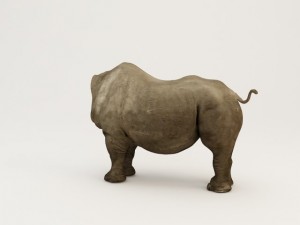 rhino body Modello 3D