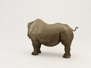 corpo di rinoceronte Modello 3D