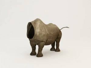 corpo di rinoceronte Modello 3D