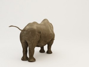 rhino body Modello 3D